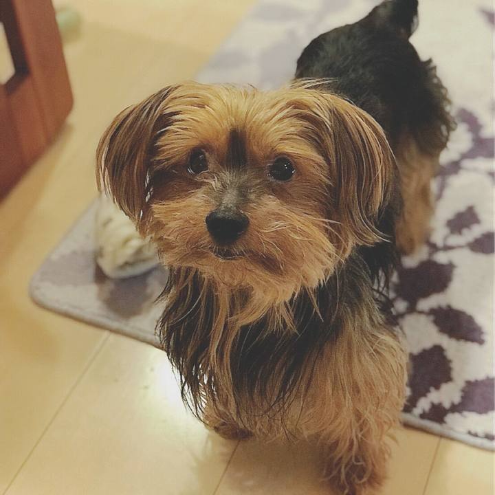 3056873a fbc4 4775 9199 c907a86c7050 1525947395361