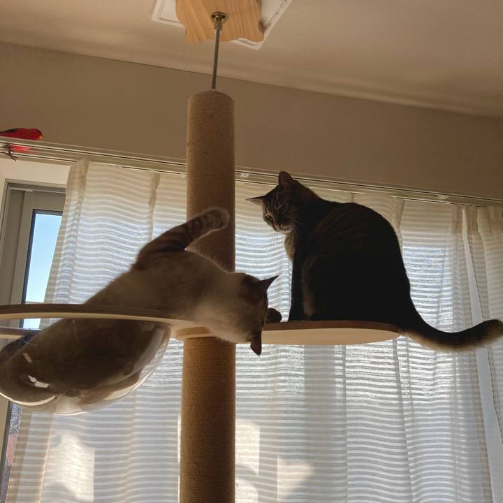 30568f33 0c68 4d3a a547 603ca143558e 1633476172904