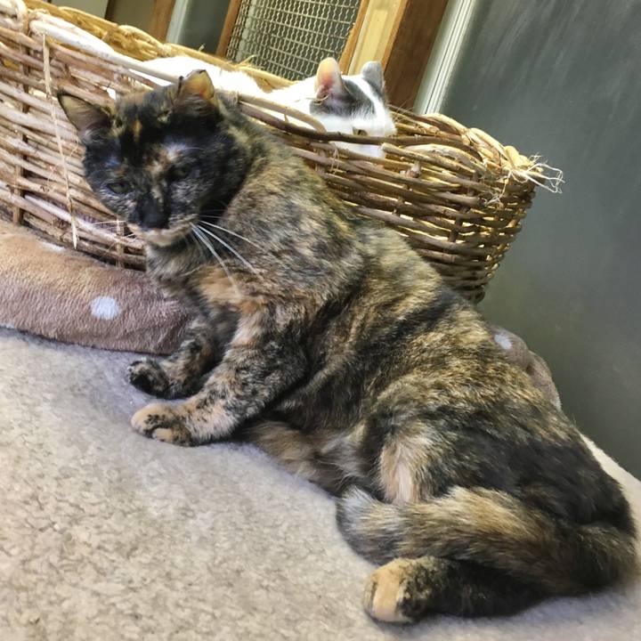 3056932c a52d 4c34 800c 7b8ec3856d93 1561545499842