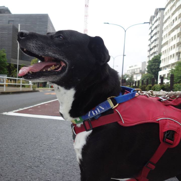 305698b3 2019 4fff 9528 94044bdd3f6f 1686618494956