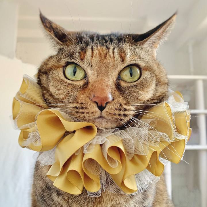 30569930 3bf4 4258 a42d e79a2ae580b0 1616498891353