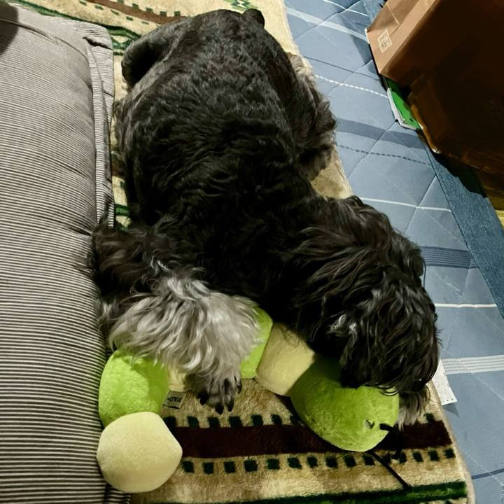 30572c14 889f 4fdc 9b87 b0c68268f501 1716818988025