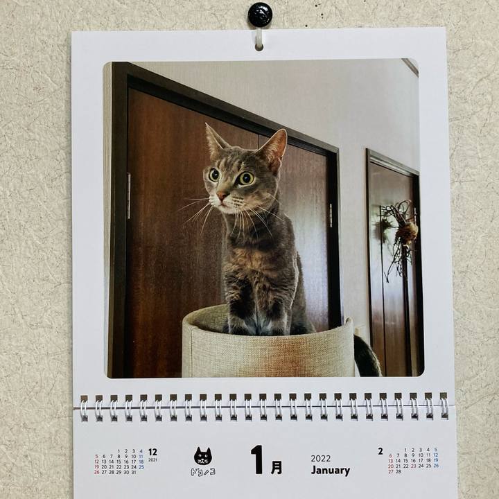 30575079 9a5f 4e0c 8f5d 2b575441fbac 1640999792193