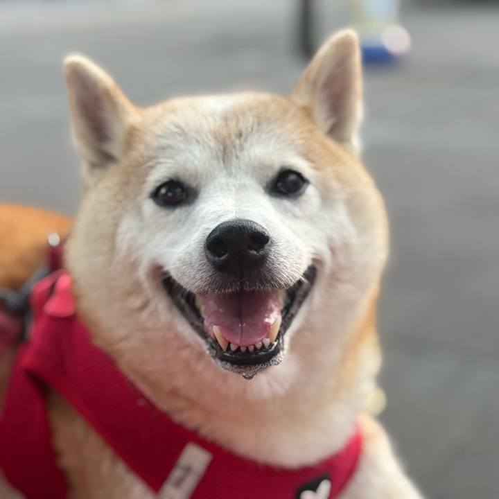 30579562 576b 4d3b 87e3 aff36e277ed5 1755638530737