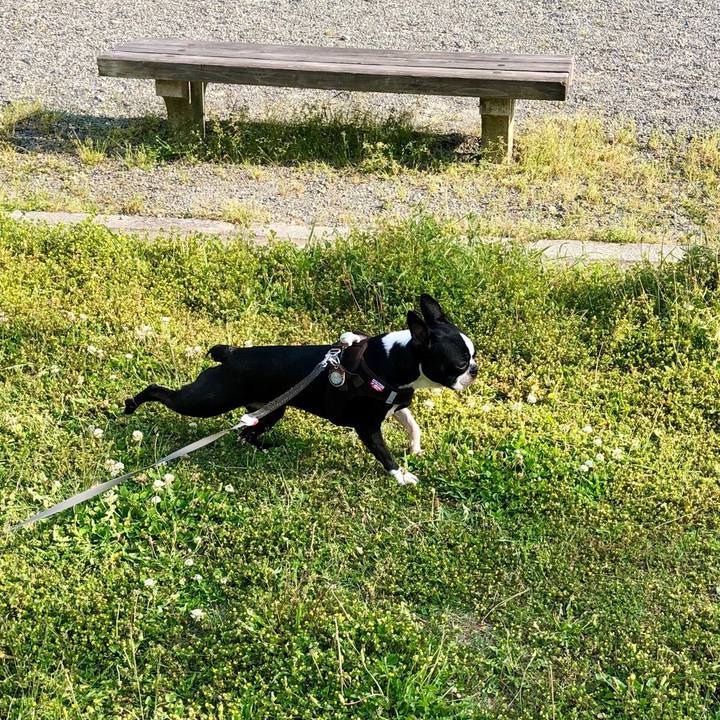 30579f29 87a7 4adb 8bd3 3ef0f62c6185 1557649071411