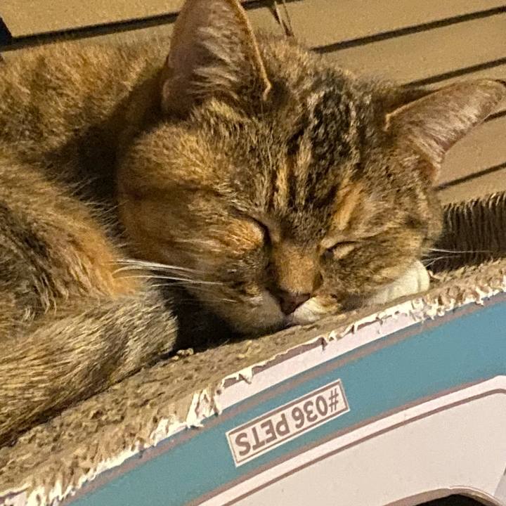 3057a0e0 4791 4933 9bd6 c1e52ada0224 1677975275852