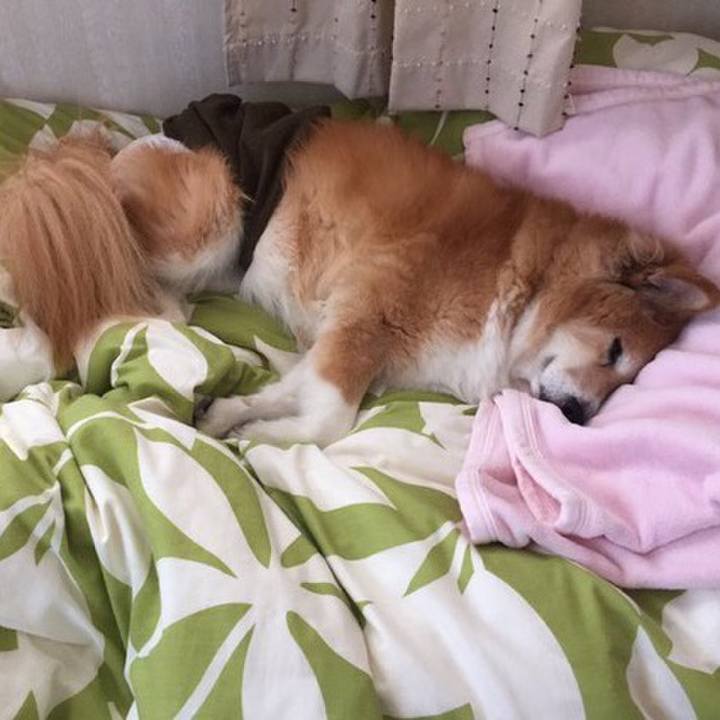 3057a717 56b5 4ccb 93a2 2027eac06340 1541579348784