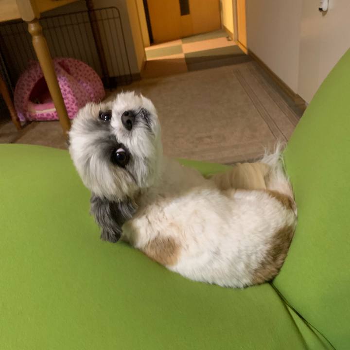 3057b60f 045b 4140 9e39 c71ded6d397b 1550280073504