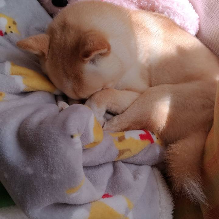 3057dc77 6186 4678 b4ee c1843d0cd724 1520825922936