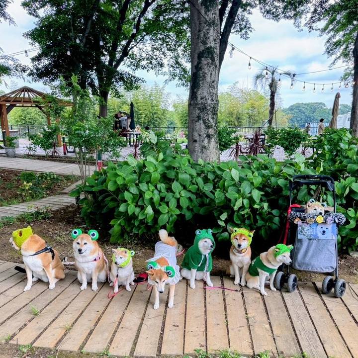 3058222f 8c98 4645 95d8 a49624afddb3 1748496442272