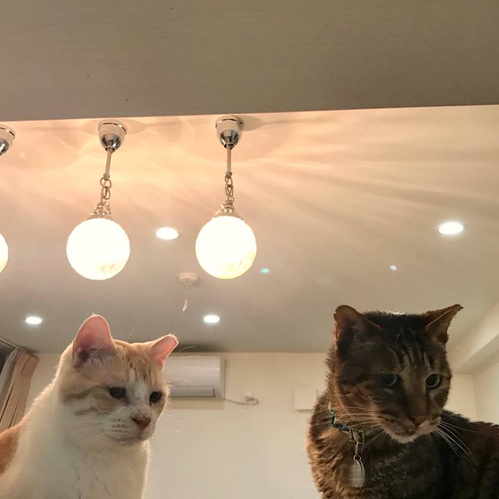 305836a8 4ab6 49b4 a2bc 586e7e01ccf7 1536484440158