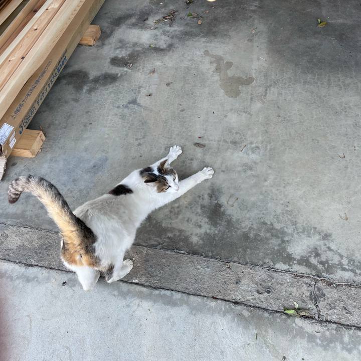 305885dd fca9 4203 b10e 426a09862ed4 1716957872133