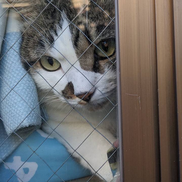 3058a078 1a92 4fd2 9091 2c98cd8cfb18 1692271452312