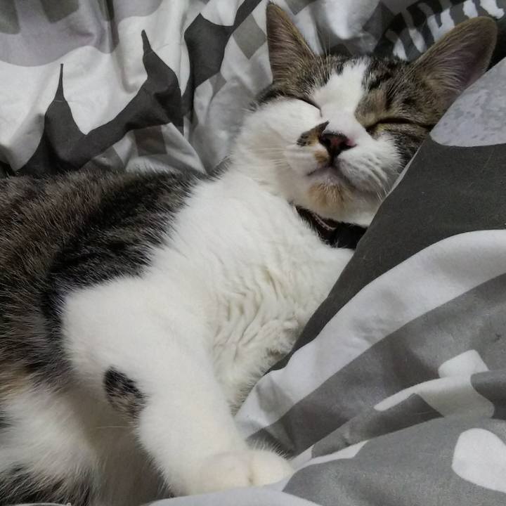 3058eda5 0a46 466c a50d 01073019c68d 1619930463459