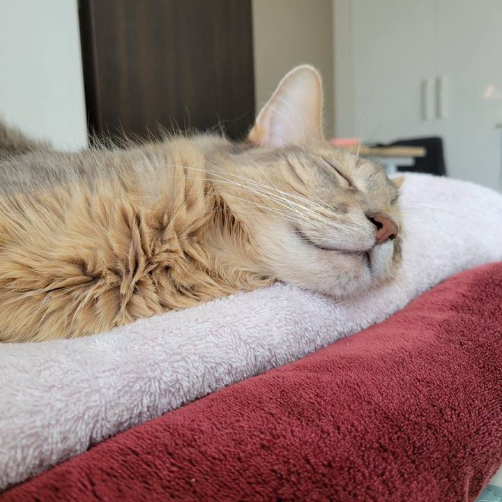 3058f0aa 79e4 447e b64c 1c8a013ec440 1658389355376