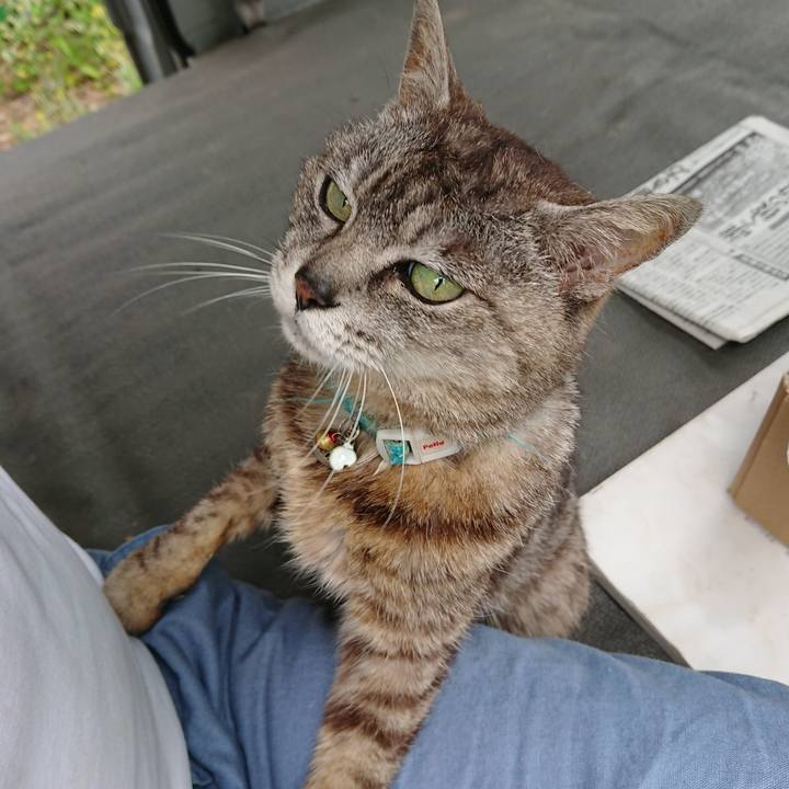 3058f2fa 772c 4326 be63 df2bf216f201 1563681986280