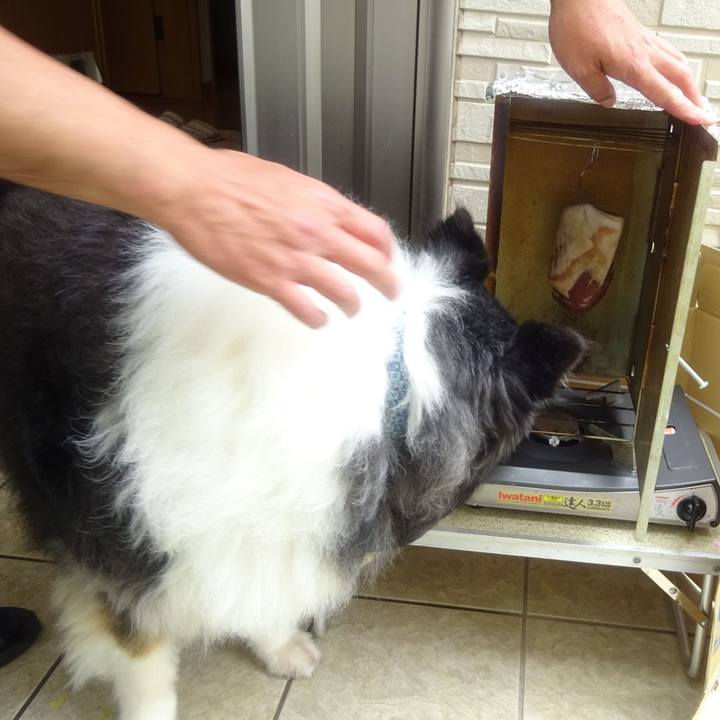 30597127 1627 47c5 9982 f03a712bc3d5 1589202651672