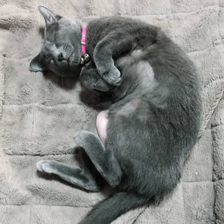 3059889e 285d 4186 bf9a f6c4ab75c04a 1550721538039