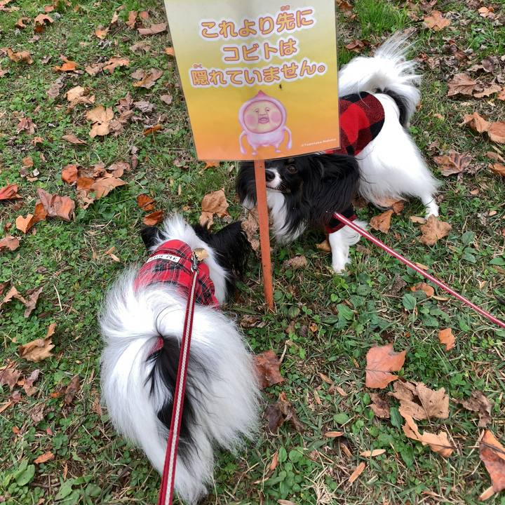 305989bf 55bc 409f 8a77 0a746edfa0e6 1542496996941