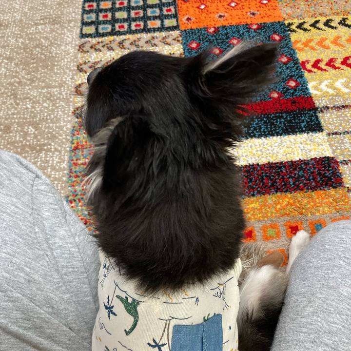 3059950b 5ef4 4638 8e39 2803ba02218f 1696862865951