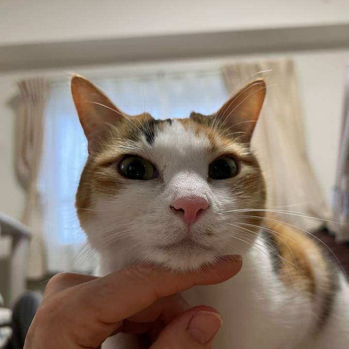 30599864 88a5 48df bd54 2db7d68fa479 1773350671080