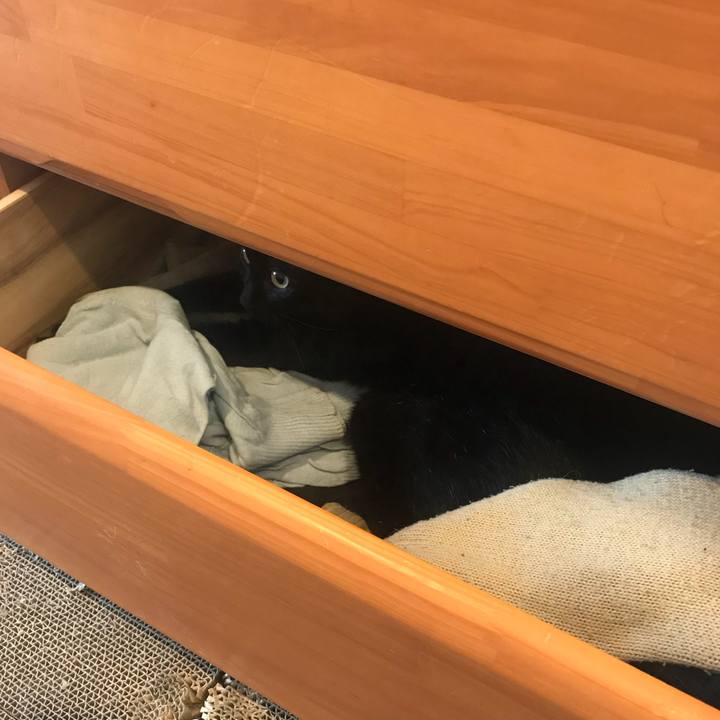 3059ddac 355e 48be a94d 9e4d564f304b 1537440022724