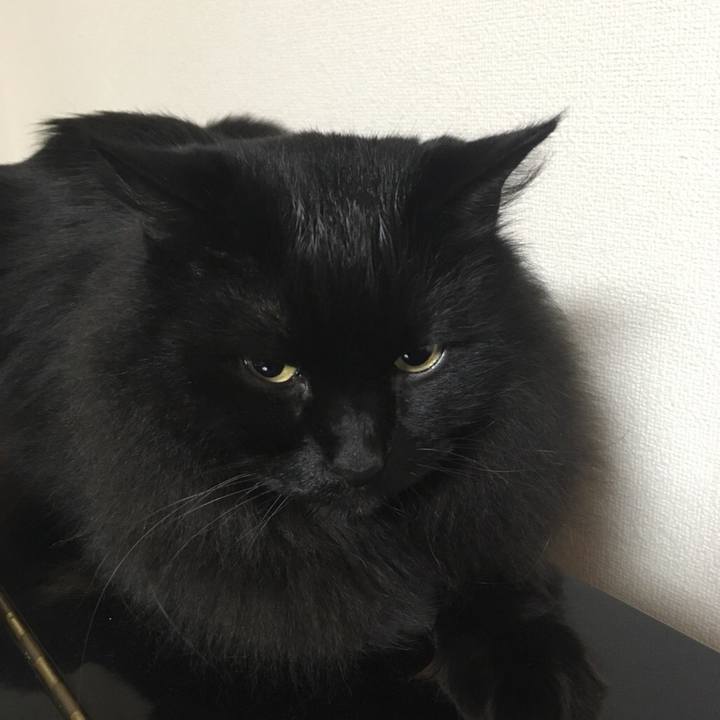 305a141c fd1e 40c1 bc80 42df925b26c6 1542977909473