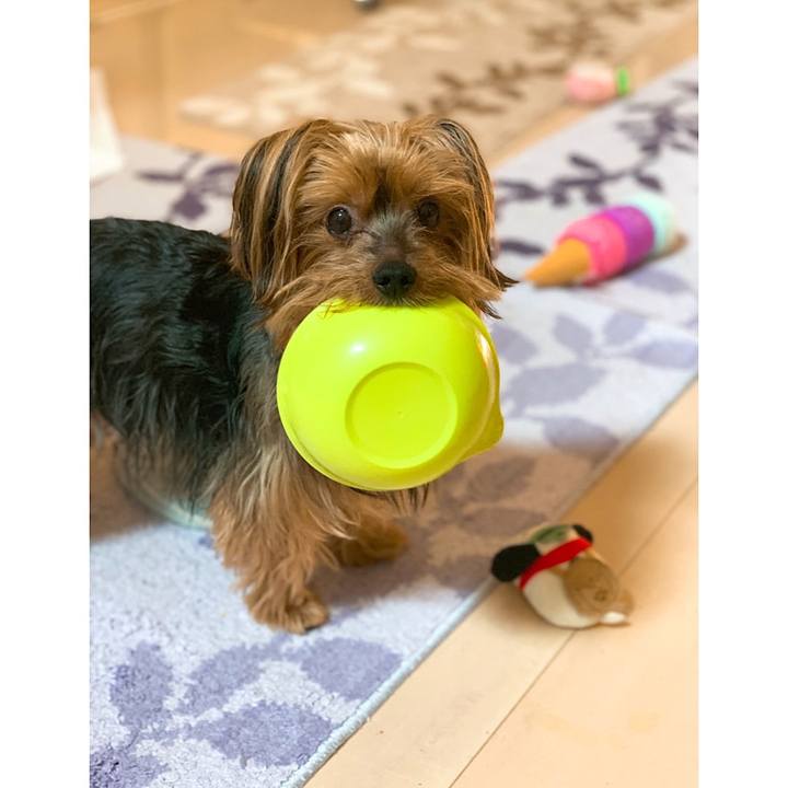 305a538c 8993 439b be4e f1dc1c11fe60 1557270854968