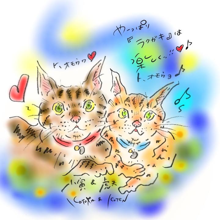 305a6739 fc93 4c10 a1b5 21f54baf90fd 1602864690341