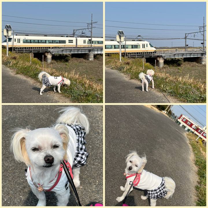 305a722c c8ee 4193 9f2c 2e1afd1f3660 1678254841780