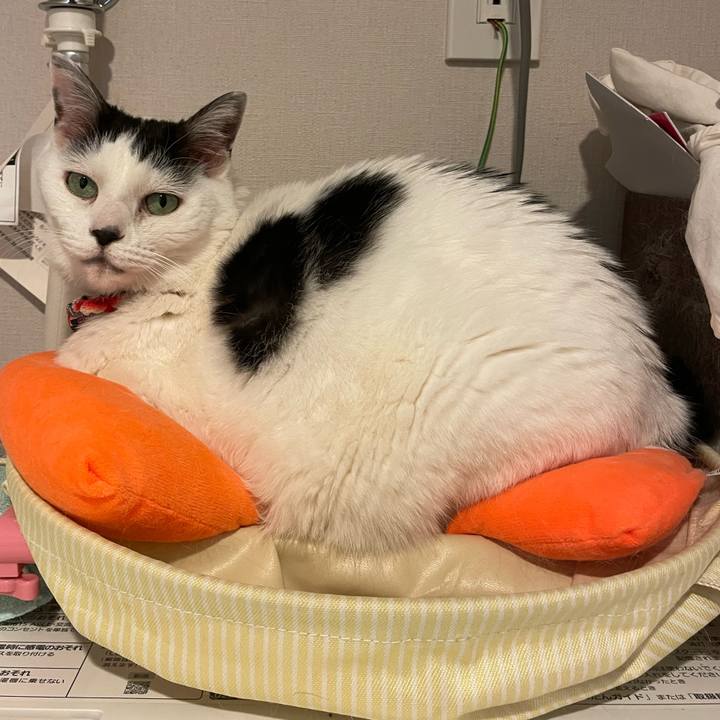 305a7366 3b02 4c6c bdbf 74e46063180e 1713411254499