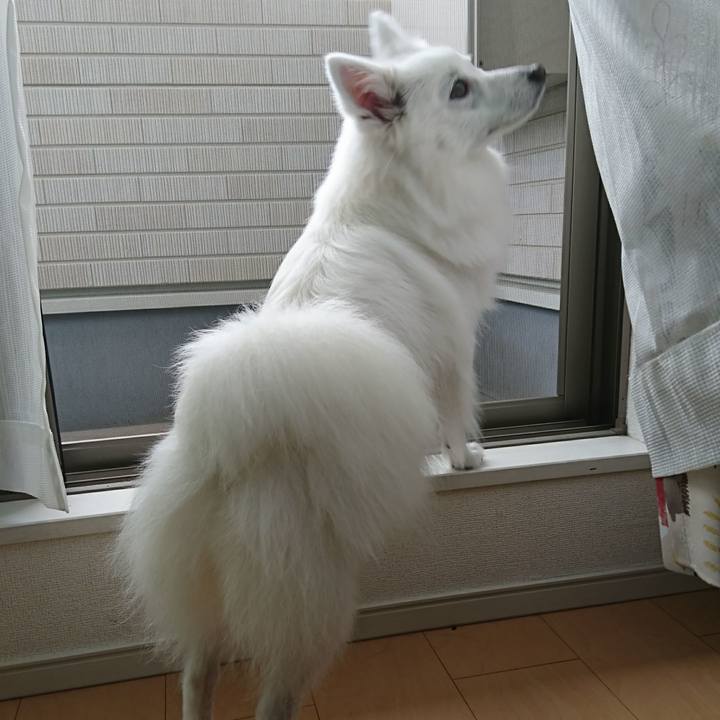 305a79fd a2e2 4003 8b79 c054e3927ec0 1521098273575