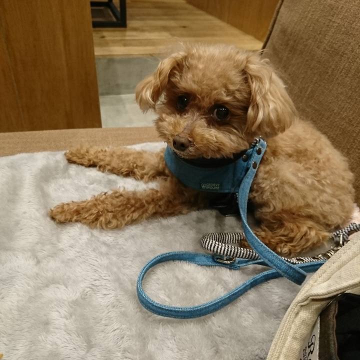 305a8590 b25d 4ed3 b949 5a4c52376957 1559366651977