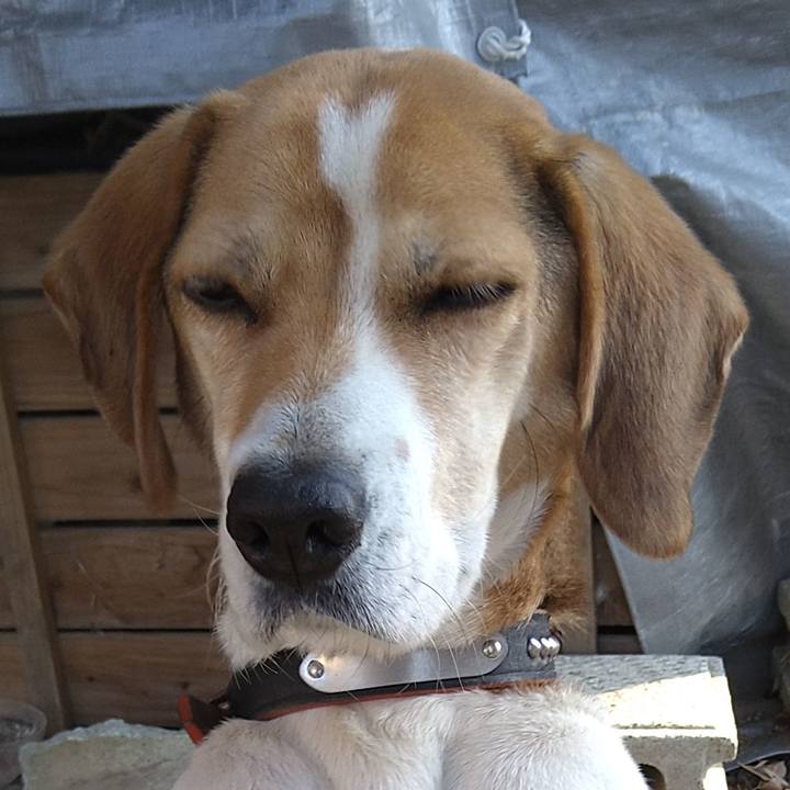 305abe72 6fac 47c1 9885 ff2b8b80bd25 1645188345034