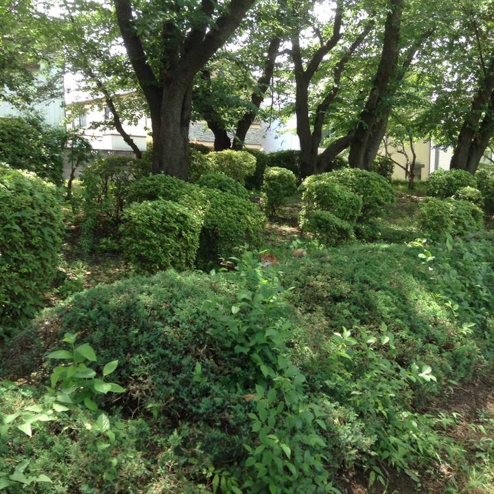 305ae1b6 c0c8 491f bf67 b32fd6f78615 1529654312354