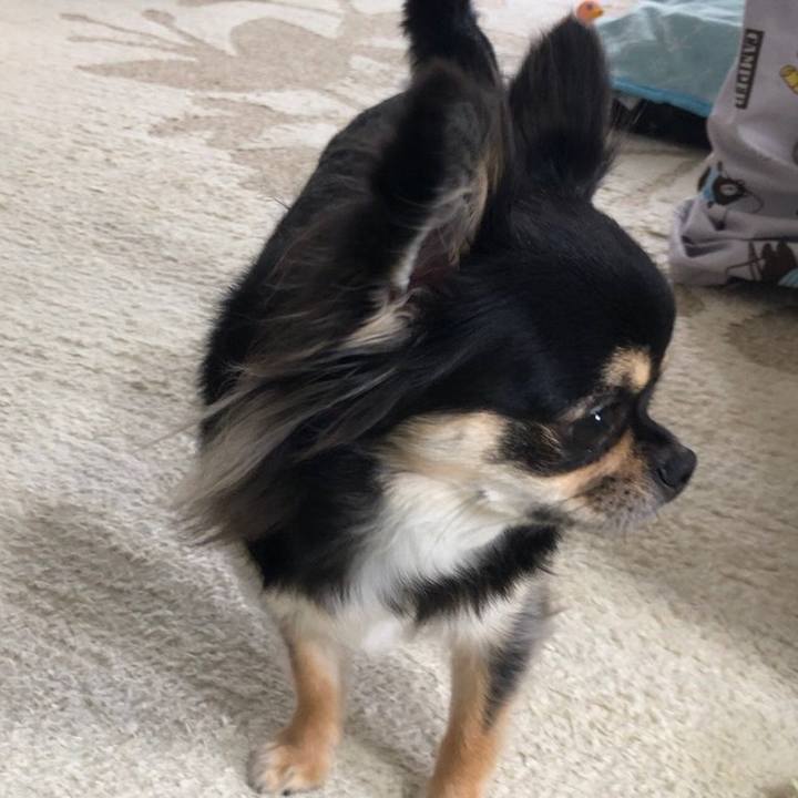 305ae7db f334 42ef 99c8 d501408af827 1561328735374