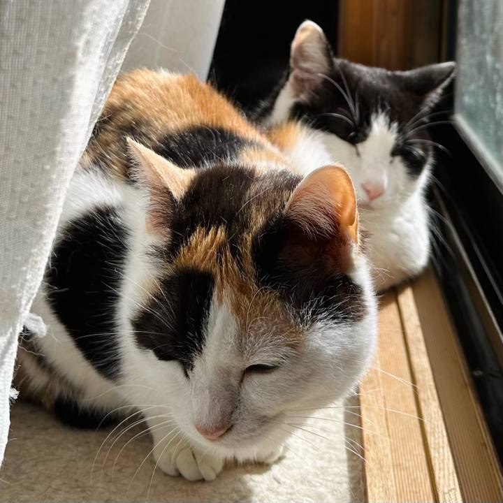 305afa93 1fd9 4a66 b6c5 aa11a94e8974 1713318704722