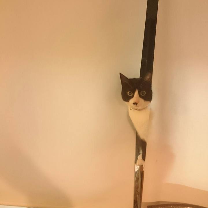 305b1bc7 2b02 4966 847f 41b107c03272 1518439478896