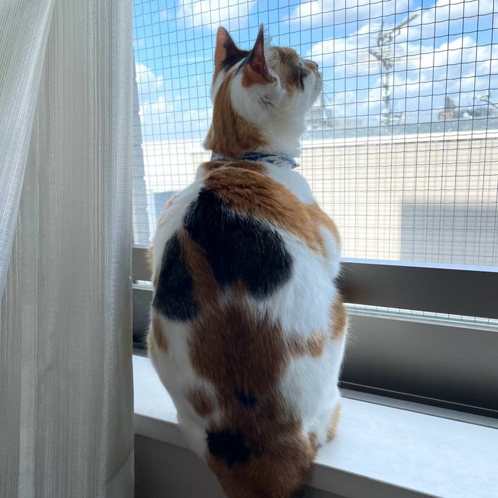 305b1da9 3133 4325 a453 8a86f15681c8 1694312512525