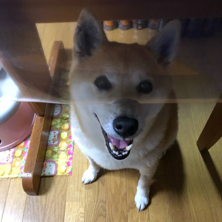 305ba48a 7d71 4039 88af e30fb459f66f 1559689775511