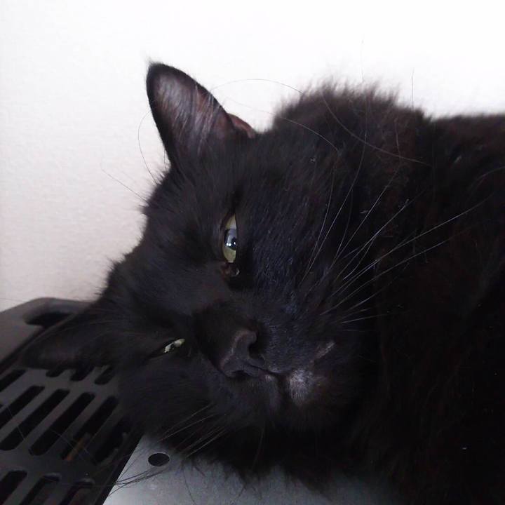 305bb221 af8c 4ad7 baca d0ba64254094 1514872990487