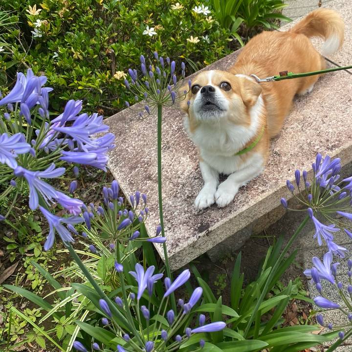 305bb232 76ee 407c 8c70 372b96f75f96 1655797718280