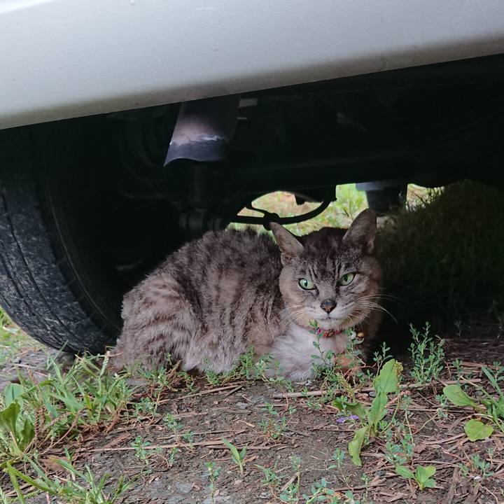 305bc34b 5267 4f62 b350 904ff2248d90 1598910591489