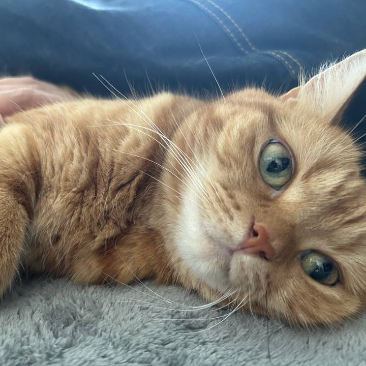 305bdb41 d8f6 406e 80e8 9a9170f3c5a8 1726103657344