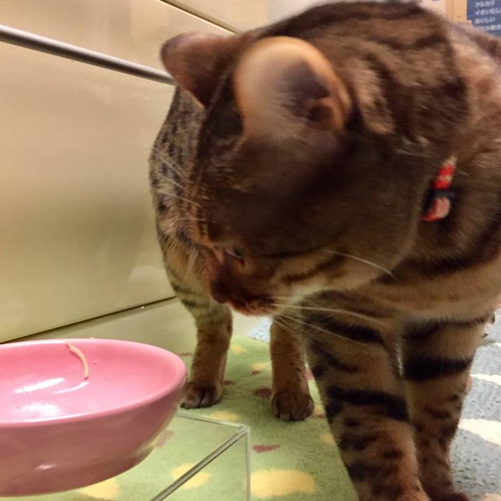 305bdf40 b97c 4ff4 bd66 92b3865b012b 1516491304872