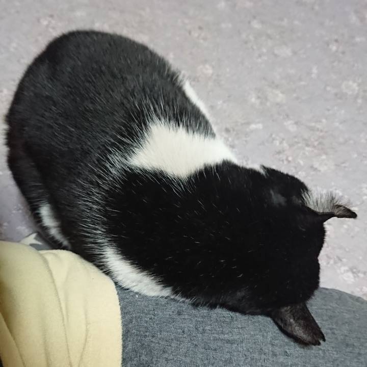 305bf3a9 d7ec 4687 bb53 b92017926575 1551081763711