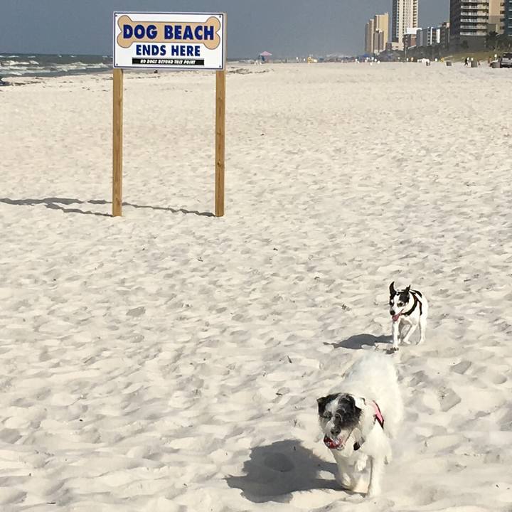 305c0427 6fd2 4ee6 b38d 2d45b64fa80d 1561724878170