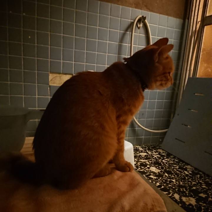 305c0d0c b503 4365 a7dc 019971d36b3a 1635586303011