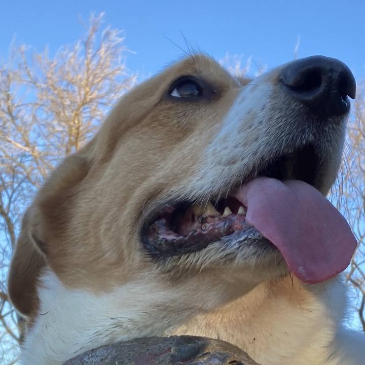 305c4537 9083 4730 9efa 0694b83b14a4 1736826528813