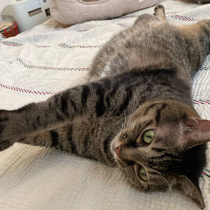 305c69dc c464 4959 b36b 451db9b215ec 1721894897341